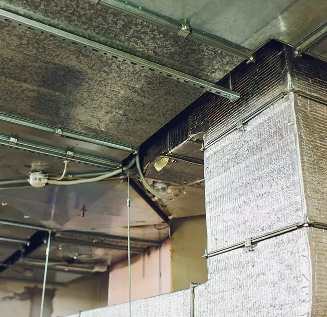 Why Homeowners & Businesses Trust Us in Mokena, IL?