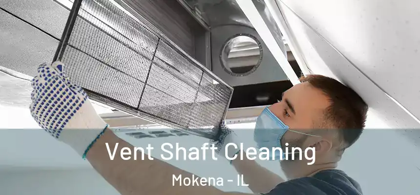 Vent Shaft Cleaning Mokena - IL