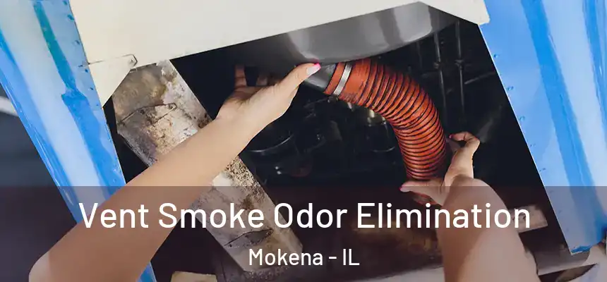  Vent Smoke Odor Elimination Mokena - IL