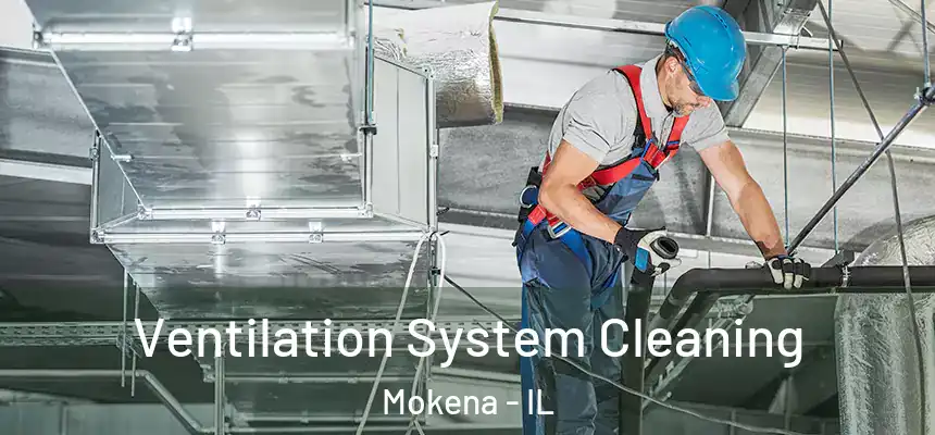 Ventilation System Cleaning Mokena - IL