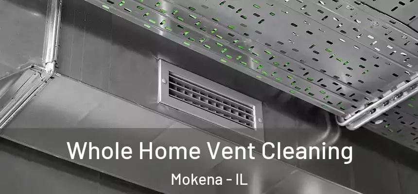 Whole Home Vent Cleaning Mokena - IL